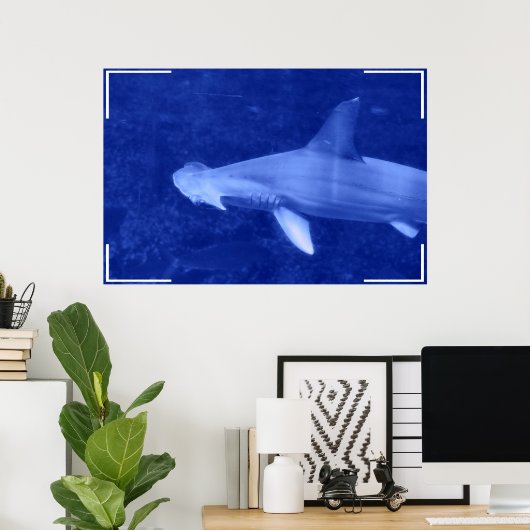 Poster de requin à tête de marteau (Bureau à domicile)