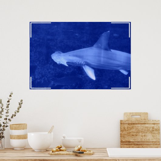 Poster de requin à tête de marteau (Cuisine)
