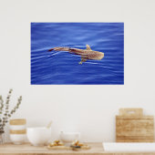 Poster de requin baleine (Cuisine)
