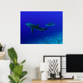 Poster de requin gris récif (Bureau à domicile)
