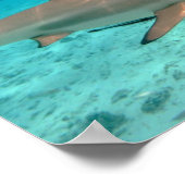 Poster de requins dans la lagune Bora Bora (Coin)