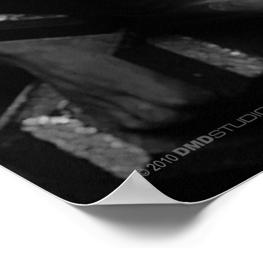 Poster de résistance (Coin)