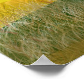 Poster de retraite de tracteur rouge ou vert (Coin)