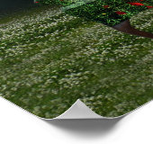 Poster de Rêves de Pavot et Schéma de Chameleon (Coin)