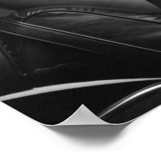 Poster de Rider poli (Coin)