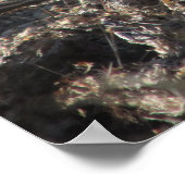 Poster de Roadrunner (Coin)