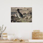 Poster de Roadrunner (Cuisine)