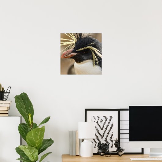 Poster de Rockhopper Penguin (Bureau à domicile)