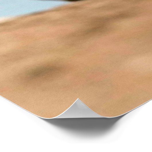 Poster de Rockhopper Penguins de 8.99 (Coin)