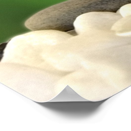 Poster de rôle avec des objets de spa (Coin)