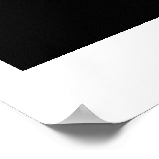 Poster de ROS Electric Emys (Coin)