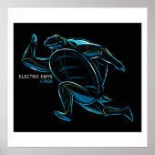 Poster de ROS Electric Emys (Devant)
