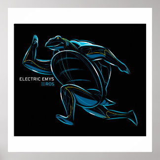 Poster de ROS Electric Emys