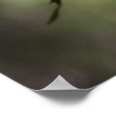 Poster de Rose baisé 16x20 ROSE & PROSE (Coin)