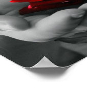 Poster de Rose rouge couleur (Coin)