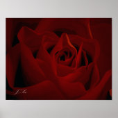 Poster de Rose rouge profonde (Devant)