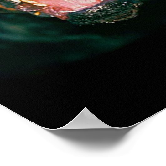 Poster de Rottweiler (Coin)