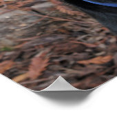 Poster de Rottweiler Heidi (Coin)