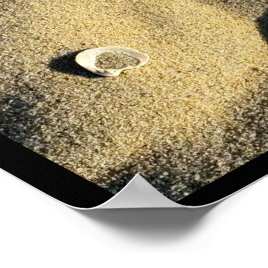 Poster de sable et d'ombres Shell (Coin)