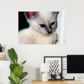 Poster de Sasha Kitten (Bureau à domicile)