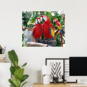 Poster de Scarlet Macaws (Bureau à domicile)