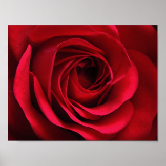 Poster de Scarlet Matte