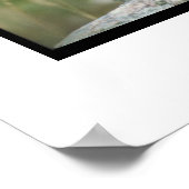 Poster de Schnauzer Miniature (Coin)