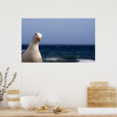 Poster de Seagull (Cuisine)