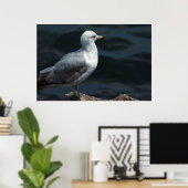 Poster de Seagull (Bureau à domicile)