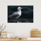 Poster de Seagull (Cuisine)