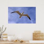 Poster de Seagull (Cuisine)