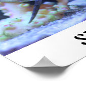 Poster de Seahorse (Coin)