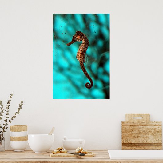 Poster de Seahorse (Cuisine)