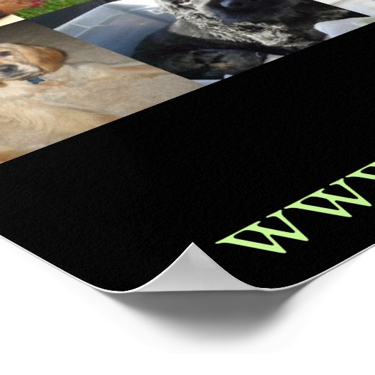 Poster de Secourt Cocker Spaniel 2005 (Coin)