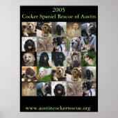 Poster de Secourt Cocker Spaniel 2005 (Devant)