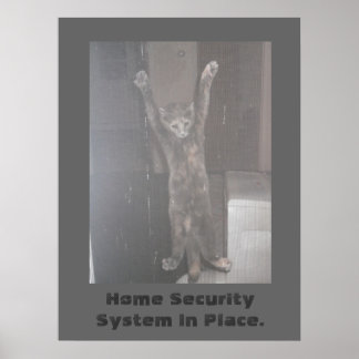 Poster de sécurité du chat