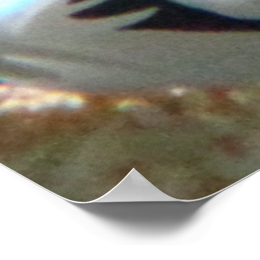 Poster de seiche (Coin)