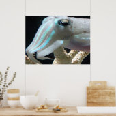 Poster de seiche (Cuisine)