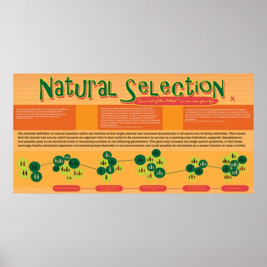 Poster de sélection naturelle (Devant)