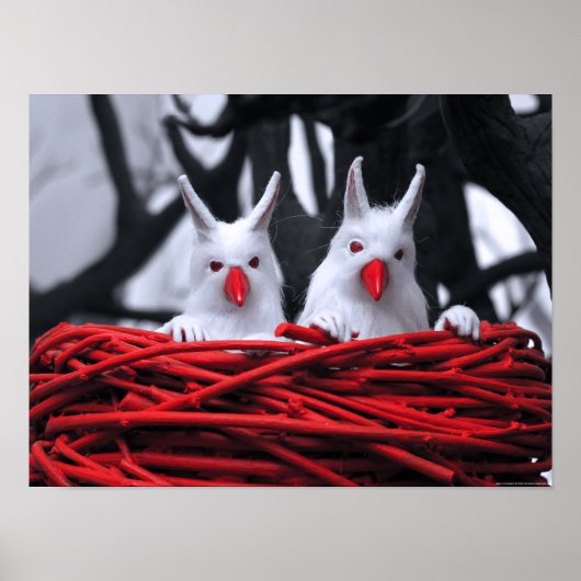 Poster de semences dans le sable (Devant)