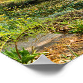 Poster de Serenity (Matte) (Coin)