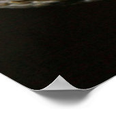 Poster de serpent (Coin)