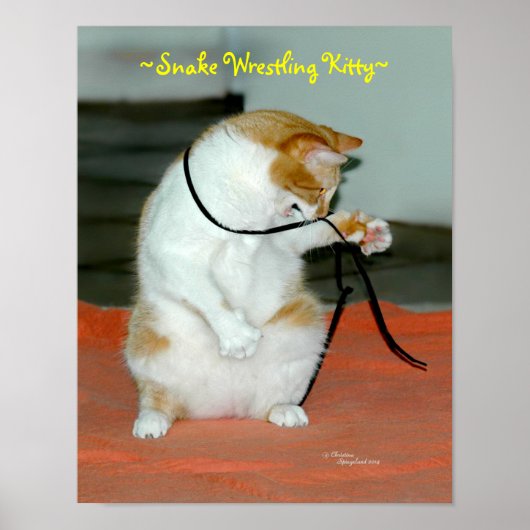 Poster de serpent de lutte de chats amusants (Devant)