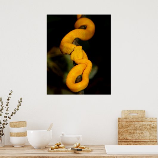 Poster de serpent jaune (Cuisine)