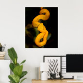 Poster de serpent jaune (Bureau à domicile)