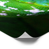 Poster de serpent vert (Coin)