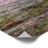 Poster de Shine Dome (Coin)