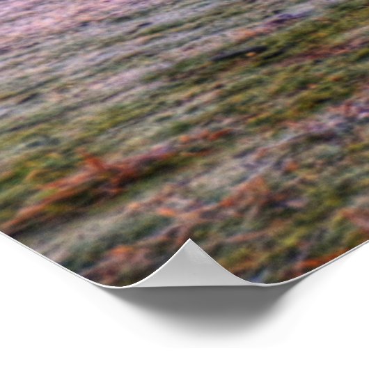 Poster de Shine Dome (Coin)