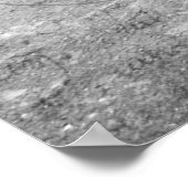 Poster de signature du Mariage du crâne de sucre (Coin)