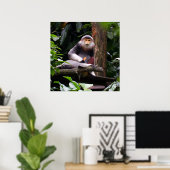 Poster de singe Douc Langur à rayures rouges (Bureau à domicile)